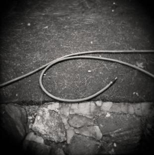 Hose