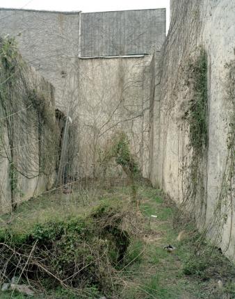 Vacant Lot, North Philadelphia, 2008