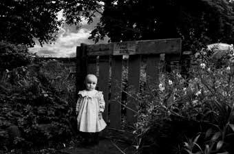 Untitled 1 from the Enchanted Garden Series