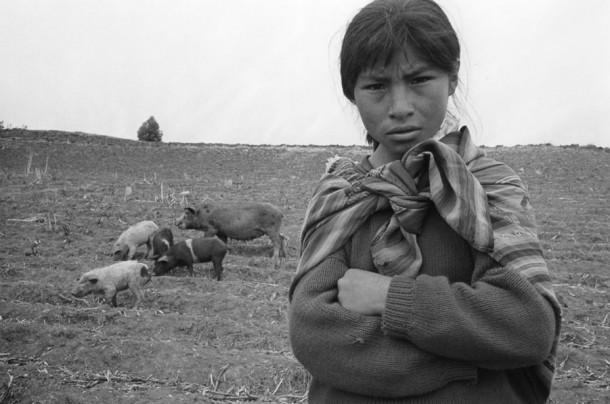 Rural Peru #3