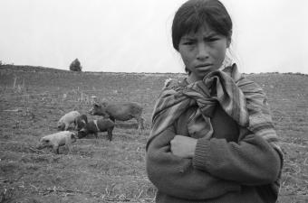 Rural Peru #3