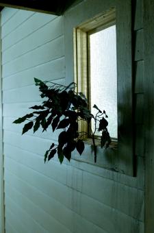 OffSET #42, Hollywood, 2009