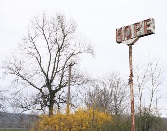 Hope Hope