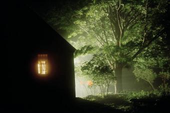 Foggy Night Foggy Night