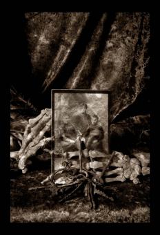 RELICS-Family Bones RELICS-Family Bones