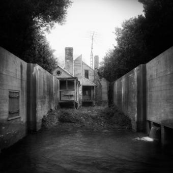 Untitled (Backyard) Untitled (Backyard)