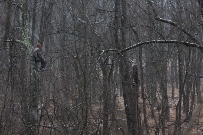 JP Terlizzi: Perch, from the series Hunter's Calling JP Terlizzi: Perch, from the series Hunter's Calling