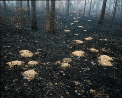 Chuck Hemard: #1 (burn) Okaloosa County, Florida Chuck Hemard: #1 (burn) Okaloosa County, Florida