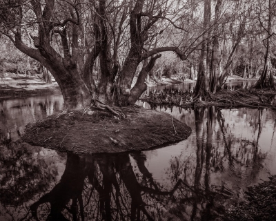 Timothy H. McCoy: Island in the Stream Timothy H. McCoy: Island in the Stream