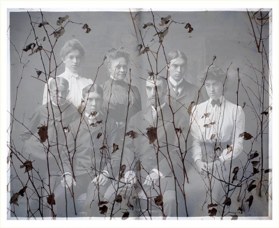 SiegfriedEl-Family-with-Branches_1 SiegfriedEl-Family-with-Branches_1