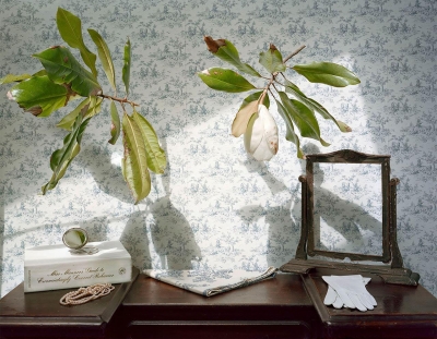 Alison A. Smith: Still Life with Magnolia & Pearls, 2015 Alison A. Smith: Still Life with Magnolia & Pearls, 2015