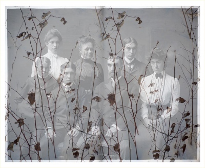 SiegfriedEl-Family-with-Branches_1 SiegfriedEl-Family-with-Branches_1