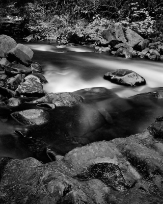 BusherJrRi-Falling-Water-3_1 BusherJrRi-Falling-Water-3_1