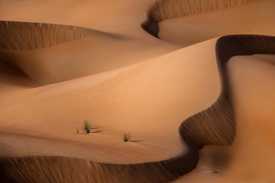 RoggioSh-Red-Dunes-Liwa-UAE_1 RoggioSh-Red-Dunes-Liwa-UAE_1