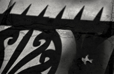 John A. Benigno: Shadow and Leaf Study John A. Benigno: Shadow and Leaf Study