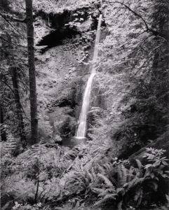 Timothy D. Smith: Waterfall, Olympic National Forest, WA Timothy D. Smith: Waterfall, Olympic National Forest, WA