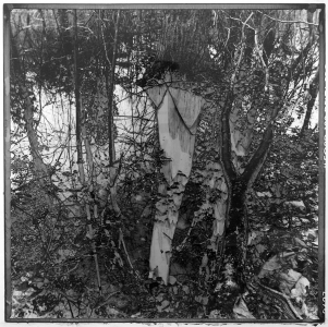 Samuel Worthington IV: Untitled #8 Samuel Worthington IV: Untitled #8