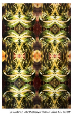 Liz Wuillermin: Abstract Series #35, 2014 Liz Wuillermin: Abstract Series #35, 2014