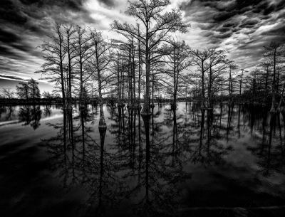 Richard Greene: Cypress Lake, MS, 2016 Richard Greene: Cypress Lake, MS, 2016