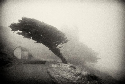 Rob Lybeck: Point Reyes Upslope Fog, 2016 Rob Lybeck: Point Reyes Upslope Fog, 2016