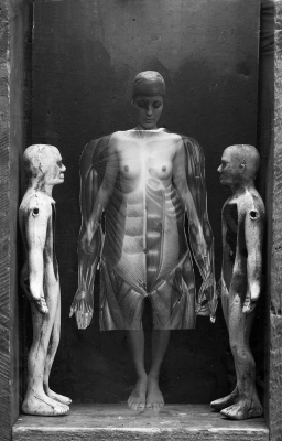 Curtis Salonick: The Autopsy Doll Curtis Salonick: The Autopsy Doll