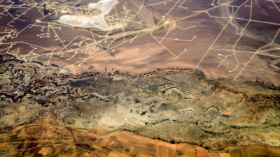 Ron McClure: Waterbird Constellation Ron McClure: Waterbird Constellation