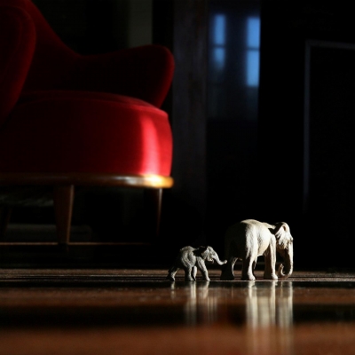 Doris Mitsch: Domestic Elephants, from Domestic Animals, an exploration of endangered species left around the house. Doris Mitsch: Domestic Elephants, from Domestic Animals, an exploration of endangered species left around the house.