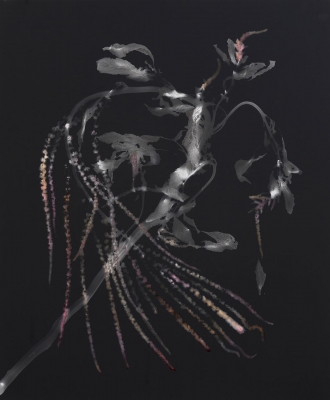 Christine Elfman: Amaranth Photogram II Christine Elfman: Amaranth Photogram II