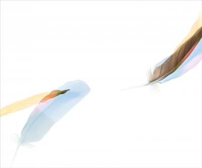 Kerry Mansfield: Threshold series / Wild Parrot Fall V Kerry Mansfield: Threshold series / Wild Parrot Fall V