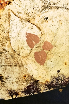 Nancy Ori: Imprints Nancy Ori: Imprints
