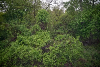 Nadide Goksun: Landscapes from the train Nadide Goksun: Landscapes from the train
