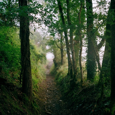 Alexandra Huddleston: July 1, Mists Linger after Dawn; From the project ‚ "Summer Grasses" Alexandra Huddleston: July 1, Mists Linger after Dawn; From the project ‚ "Summer Grasses"