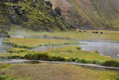 Joan Sarah Wexler: Landscape #4, Landmannalangar, Iceland Joan Sarah Wexler: Landscape #4, Landmannalangar, Iceland