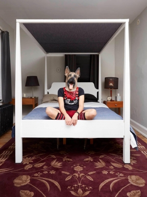Cassi Segulin: Ferkel Cassi Segulin: Ferkel