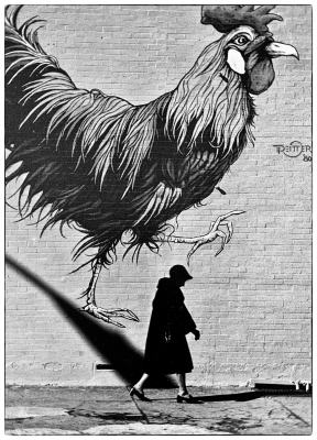 PolzoDo-Rooster-Walk_1 PolzoDo-Rooster-Walk_1