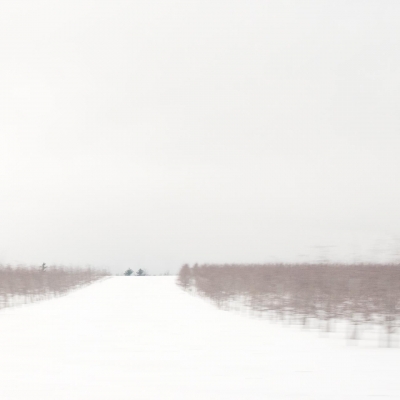 BilowDe-Winter-Field-North-Country-No-2_1 BilowDe-Winter-Field-North-Country-No-2_1